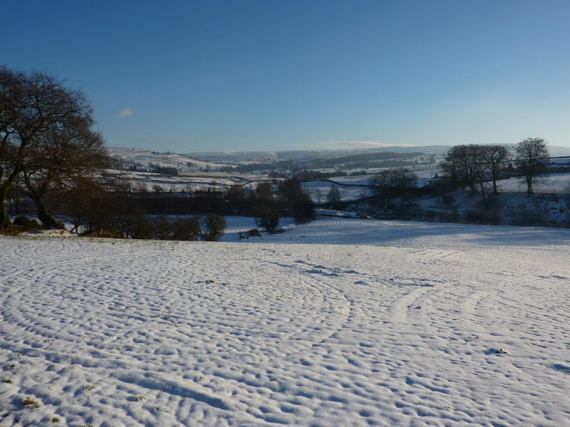 Wycoller Fields